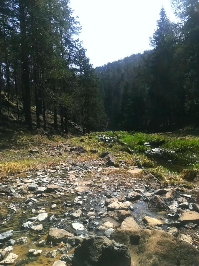 KATUN Apartmani&SPA Divcibare Bagian luar foto