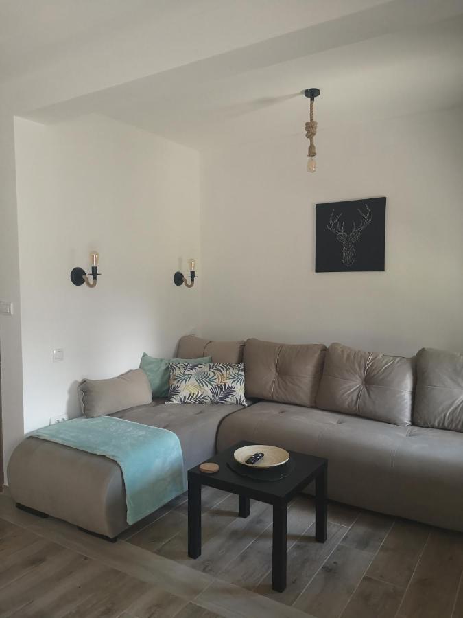 KATUN Apartmani&SPA Divcibare Bagian luar foto