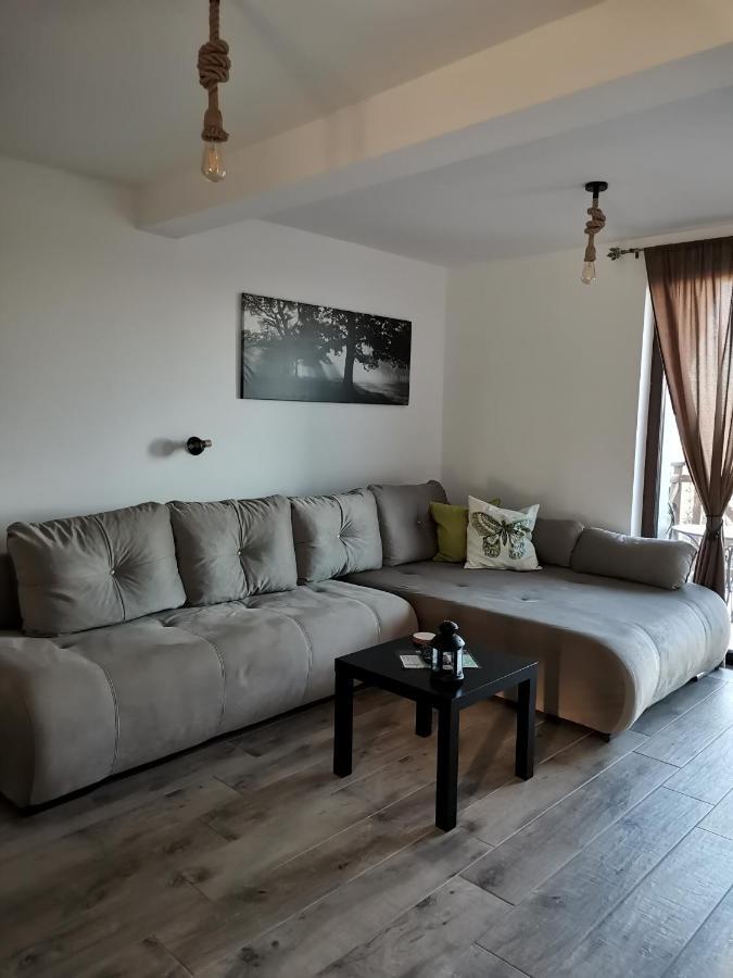 KATUN Apartmani&SPA Divcibare Bagian luar foto